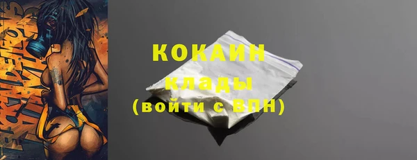 ГАЛЛЮЦИНОГЕННЫЕ ГРИБЫ Арсеньев