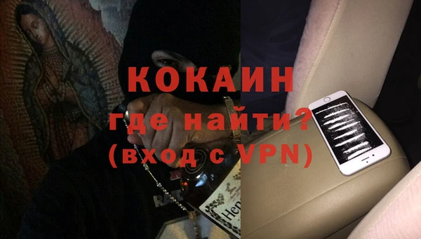 сатива Козловка