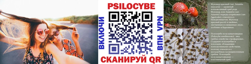 сайты даркнета официальный сайт  Навашино  Псилоцибиновые грибы Psilocybine cubensis 